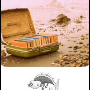 ¡Por un verano 2017 de&nbsp;libro!