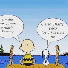 Bitácora del 16.1.2018 (por&nbsp;Laura)