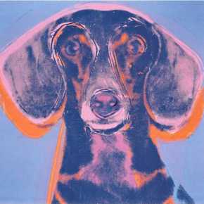 «Teoría canina de las ciudades» (por&nbsp;Ale)